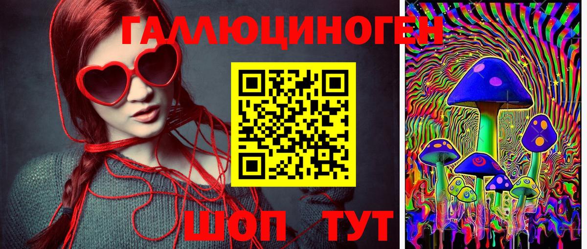 Псилоцибиновые грибы GOLDEN TEACHER  Вход с VPN  даркнет сайт  Холмск 